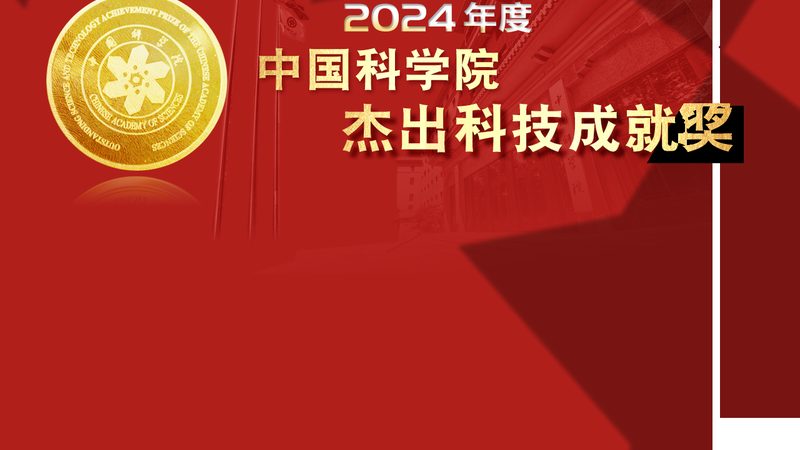 SAP ERP实施费用构成解析：揭秘影响成本的关键因素